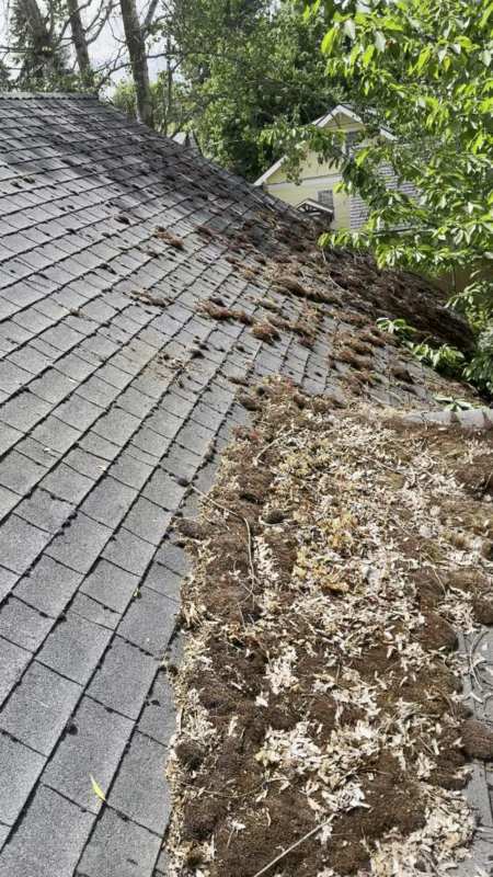 Gutter Cleaning in North Idaho — Northwest Exterior Clean
