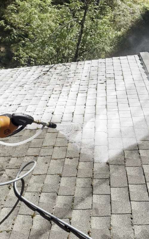 Roof Moss Treatment in North Idaho — Northwest Exterior Clean
