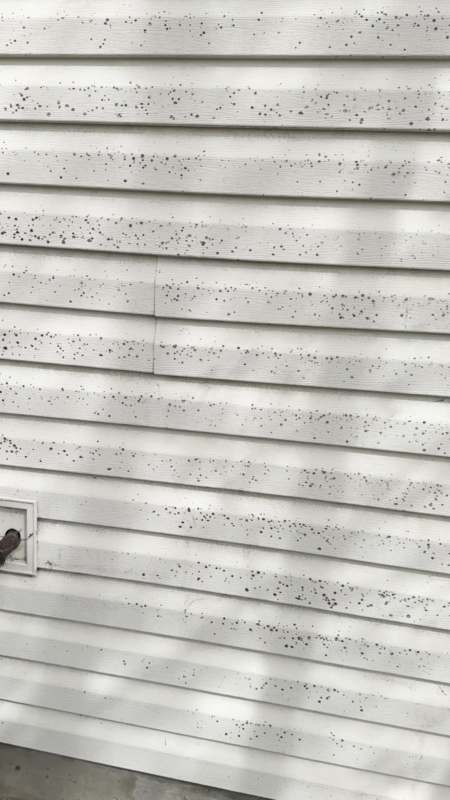 Soft Washing in North Idaho — Northwest Exterior Clean