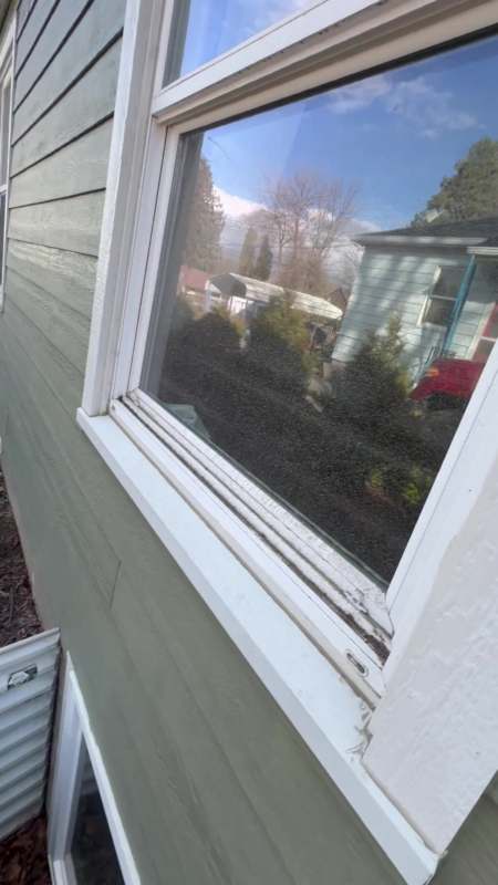 Clean window